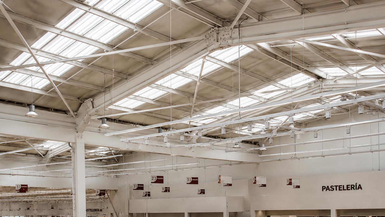 Infraestructura metálica de grandes luces para centro de distribución y retail en Valdivia.